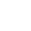 cat-icon