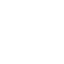 cat-icon